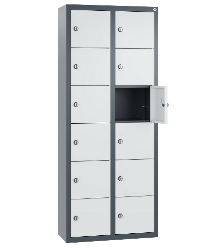 C+P Kleingefachschrank 80700-223 Serie 8170 Intro wandhängend 12 Fächer (HxBxT)1130x460x200mm 7035/0024