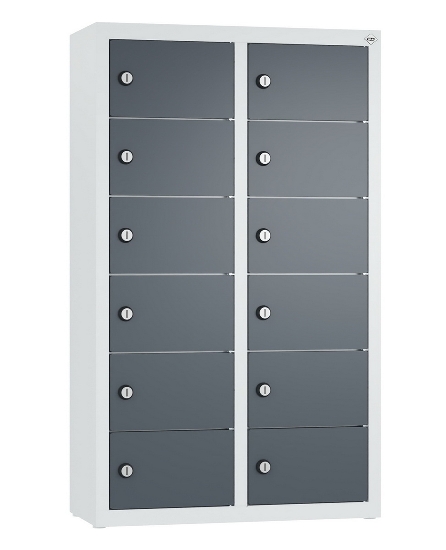 C+P Kleingefachschrank 80700-223 Serie 8170 Intro wandhängend 12 Fächer (HxBxT)1130x460x200mm 7035/0024