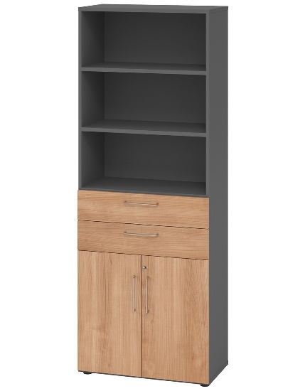 Hammerbacher Kombischrank 968T2 Advanced 9 Regal 6OH Tür 2OH Regal 4OH (BxTxH) 80x42x215,6cm Weiß/Asteiche