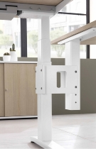 Trapezplatte XBT12 120x120cm mit Konsole+Stützfuss Asteiche/Graphit