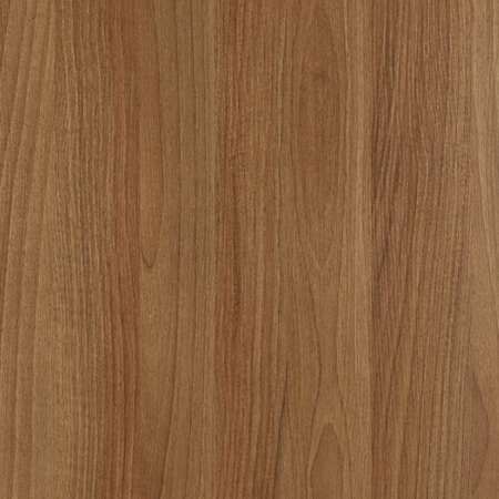 Geramöbel Glastürenschränke Serie PRO 2OH Breite 40/80cm Glastüren satiniert